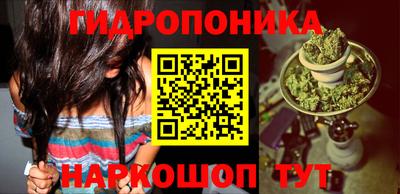 ГАЛЛЮЦИНОГЕННЫЕ ГРИБЫ Кулебаки