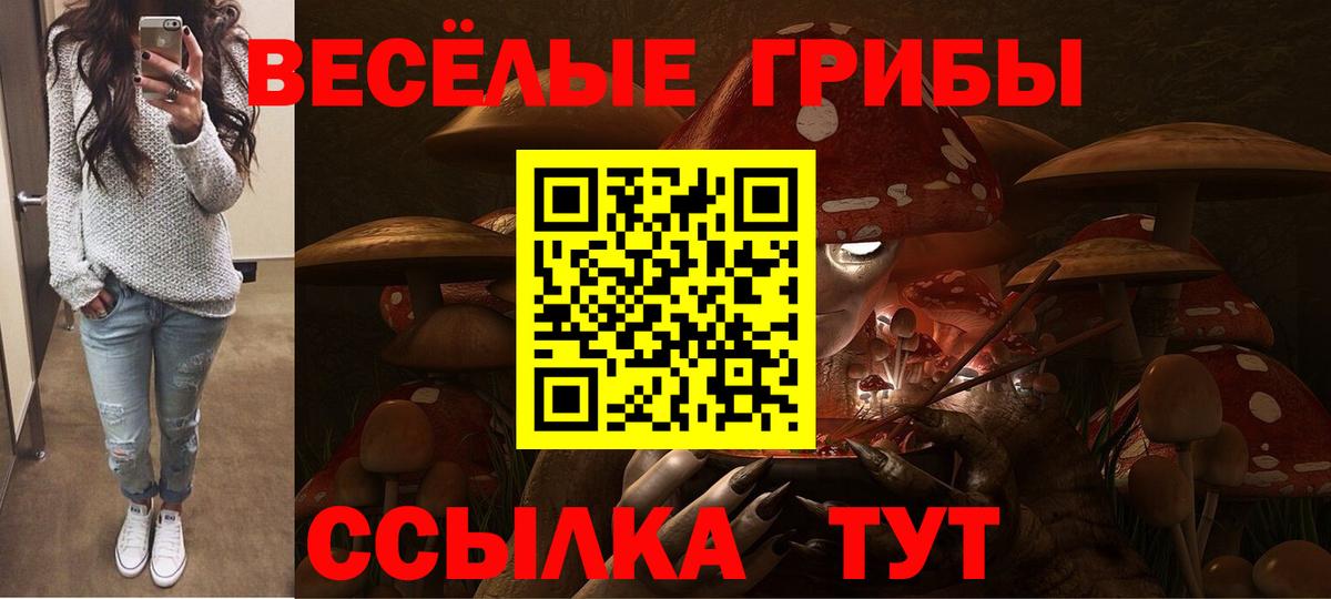 Галлюциногенные грибы MAGIC MUSHROOMS  где можно купить наркотик  Чита  Вход с VPN 