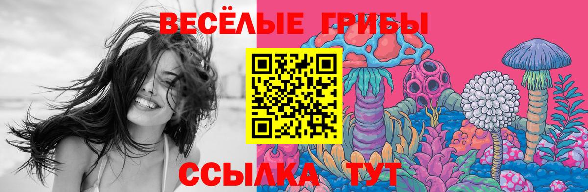 Галлюциногенные грибы Psilocybine cubensis Чита